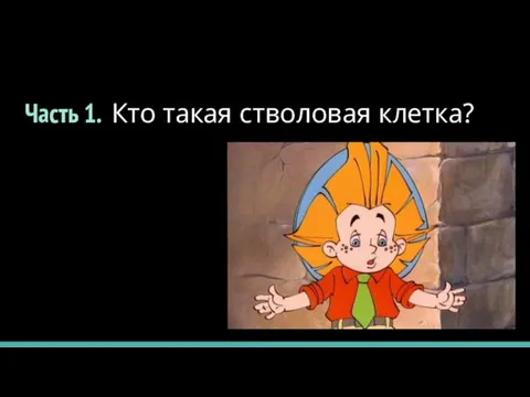 Часть 1. Кто такая стволовая клетка?