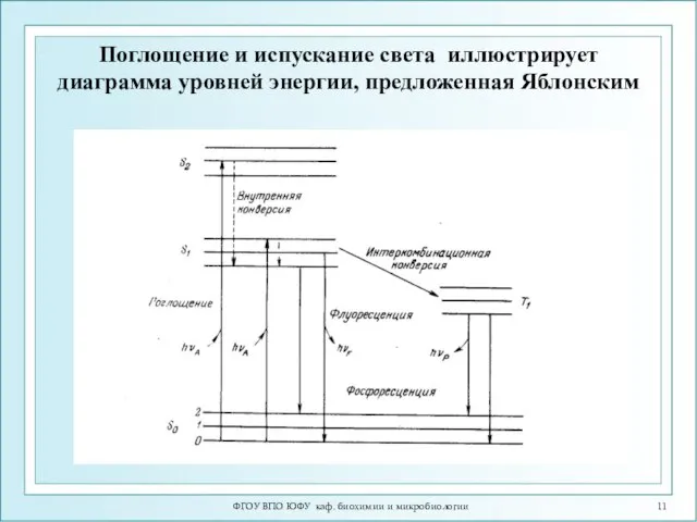 ФГОУ ВПО ЮФУ каф. биохимии и микробиологии Поглощение и испускание света