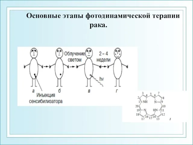 Основные этапы фотодинамической терапии рака.