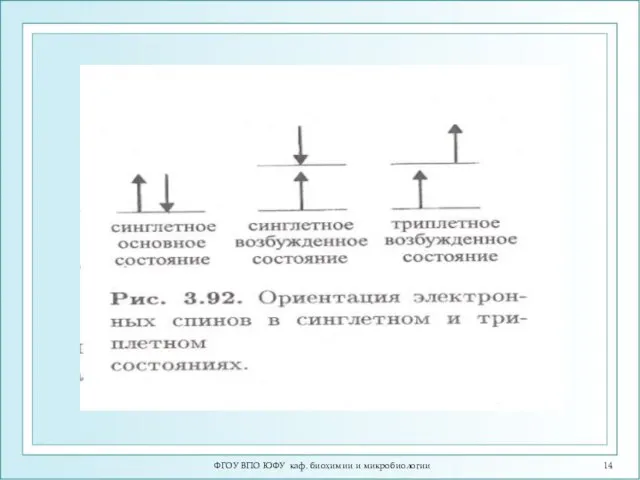 ФГОУ ВПО ЮФУ каф. биохимии и микробиологии