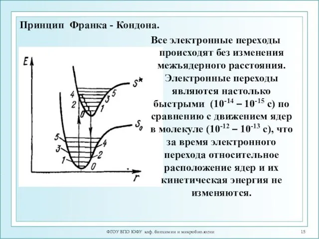 ФГОУ ВПО ЮФУ каф. биохимии и микробиологии Все электронные переходы происходят