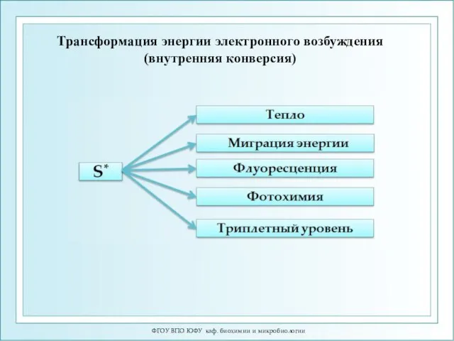 ФГОУ ВПО ЮФУ каф. биохимии и микробиологии Трансформация энергии электронного возбуждения (внутренняя конверсия)