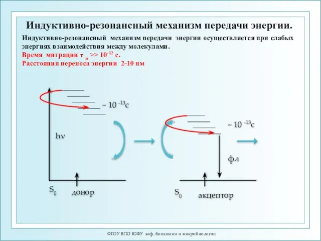 ФГОУ ВПО ЮФУ каф. биохимии и микробиологии Индуктивно-резонансный механизм передачи энергии.