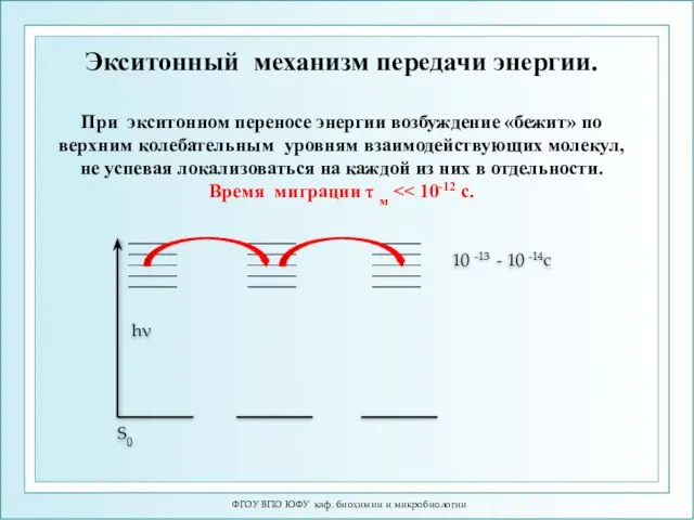 ФГОУ ВПО ЮФУ каф. биохимии и микробиологии При экситонном переносе энергии