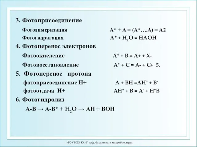ФГОУ ВПО ЮФУ каф. биохимии и микробиологии 3. Фотоприсоединение Фотодимеризация А*