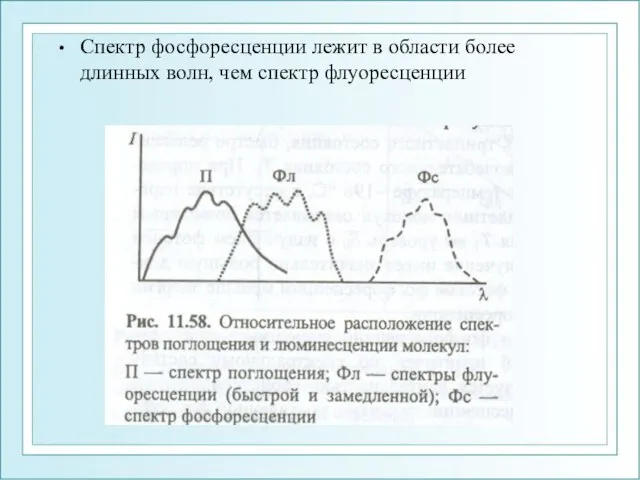 Спектр фосфоресценции лежит в области более длинных волн, чем спектр флуоресценции