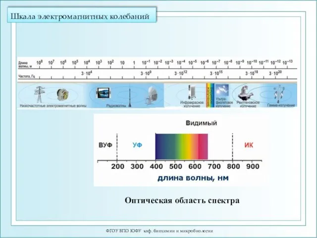 Шкала электромагнитных колебаний ФГОУ ВПО ЮФУ каф. биохимии и микробиологии Оптическая область спектра