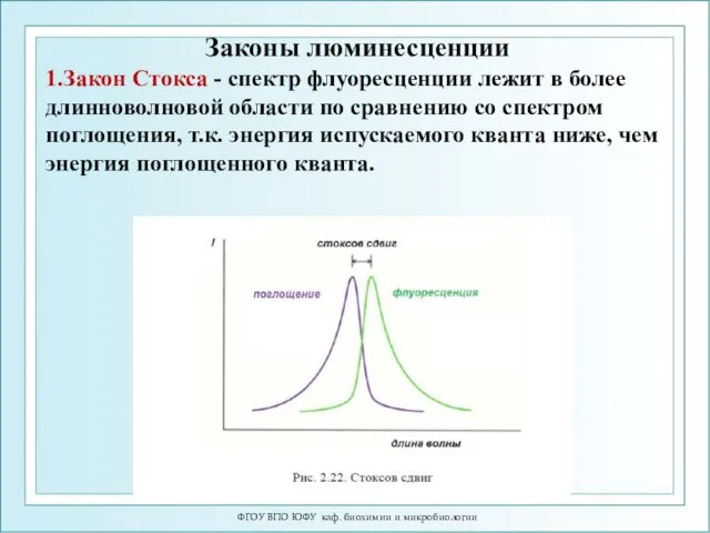 ФГОУ ВПО ЮФУ каф. биохимии и микробиологии Законы люминесценции 1.Закон Стокса