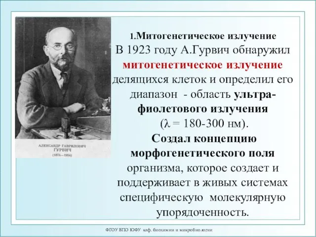 ФГОУ ВПО ЮФУ каф. биохимии и микробиологии 1.Митогенетическое излучение В 1923