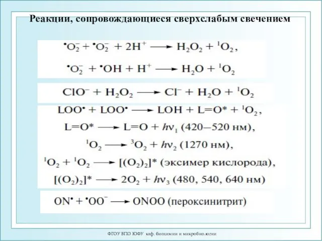 ФГОУ ВПО ЮФУ каф. биохимии и микробиологии Реакции, сопровождающиеся сверхслабым свечением