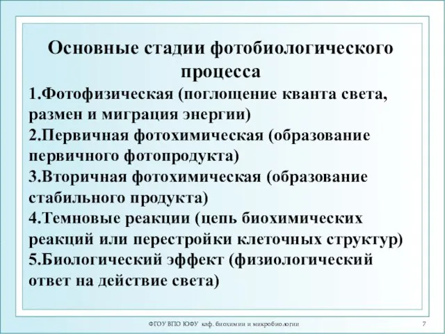 ФГОУ ВПО ЮФУ каф. биохимии и микробиологии Основные стадии фотобиологического процесса