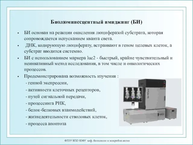 Биолюминесцентный имиджинг (БИ) БИ основан на реакции окисления люциферазой субстрата, которая