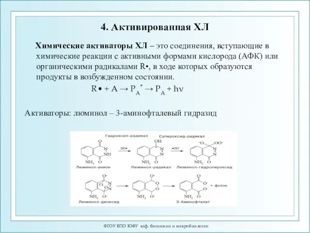 4. Активированная ХЛ Химические активаторы ХЛ – это соединения, вступающие в