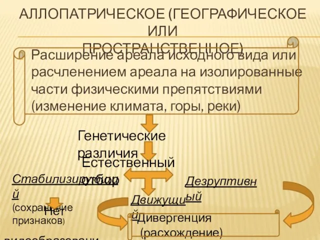 АЛЛОПАТРИЧЕСКОЕ (ГЕОГРАФИЧЕСКОЕ ИЛИ ПРОСТРАНСТВЕННОЕ) Расширение ареала исходного вида или расчленением ареала