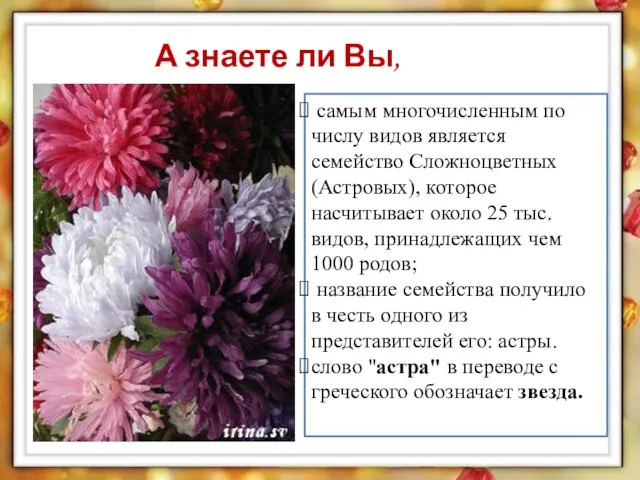 самым многочисленным по числу видов является семейство Сложноцветных (Астровых), которое насчитывает