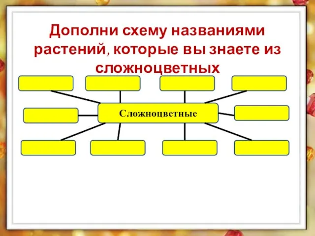 Дополни схему названиями растений, которые вы знаете из сложноцветных Сложноцветные