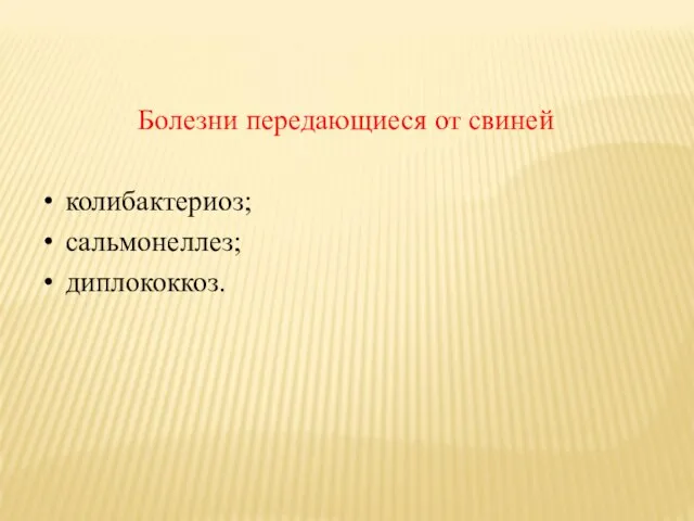 Болезни передающиеся от свиней колибактериоз; сальмонеллез; диплококкоз.