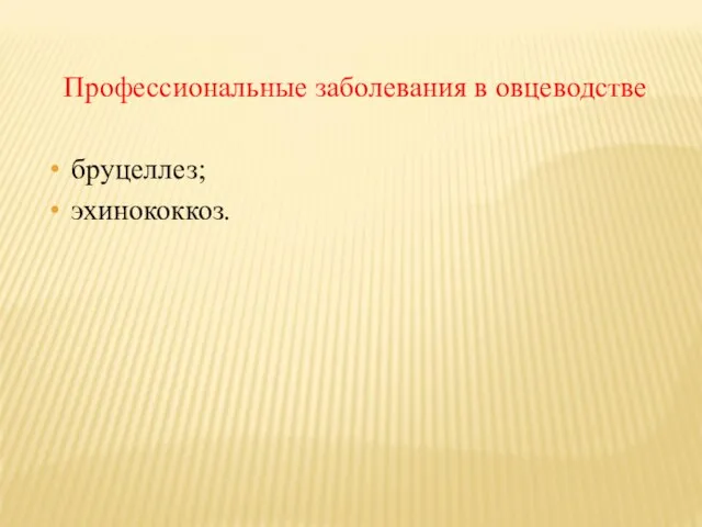 Профессиональные заболевания в овцеводстве бруцеллез; эхинококкоз.