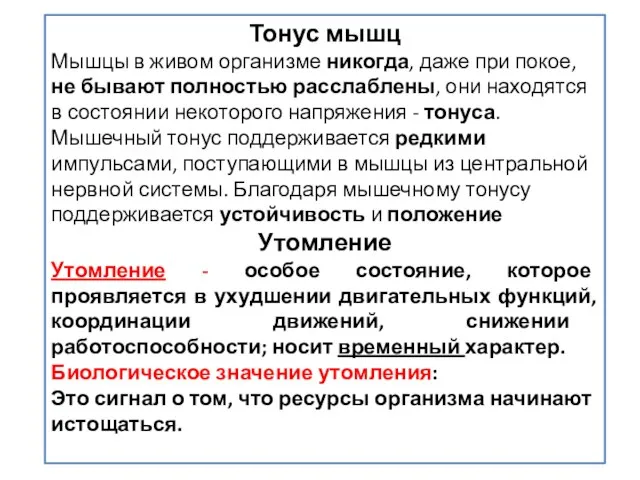 Тонус мышц Мышцы в живом организме никогда, даже при покое, не