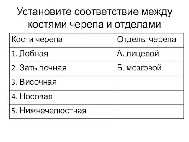 Установите соответствие между костями черепа и отделами