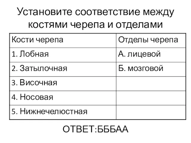 Установите соответствие между костями черепа и отделами ОТВЕТ:БББАА