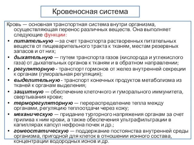 Кровеносная система Кровь — основная транспортная система внутри организма, осуществляющая перенос