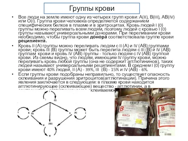 Группы крови. Все люди на земле имеют одну из четырех групп