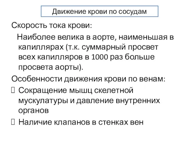 Скорость тока крови: Наиболее велика в аорте, наименьшая в капиллярах (т.к.