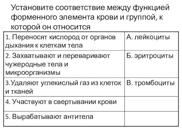 Установите соответствие между функцией форменного элемента крови и группой, к которой он относится