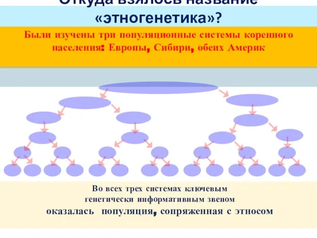 Откуда взялось название «этногенетика»? Были изучены три популяционные системы коренного населения: