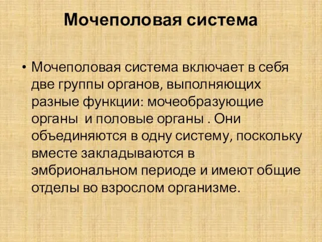 Мочеполовая система Мочеполовая система включает в себя две группы органов, выполняющих