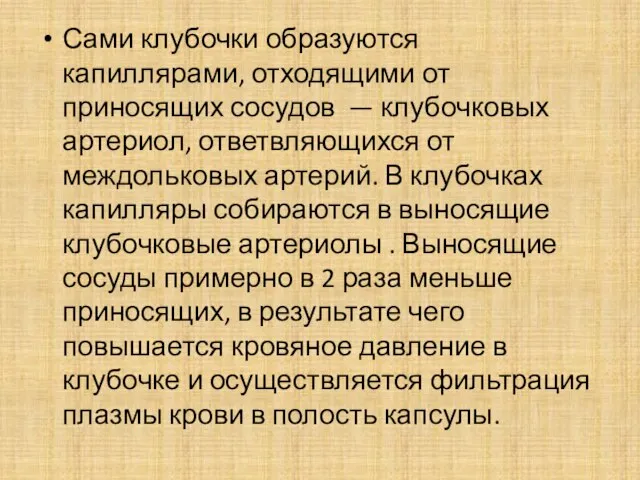 Сами клубочки образуются капиллярами, отходящими от приносящих сосудов — клубочковых артериол,