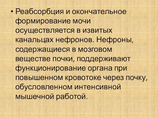 Реабсорбция и окончательное формирование мочи осуществляется в извитых канальцах нефронов. Нефроны,