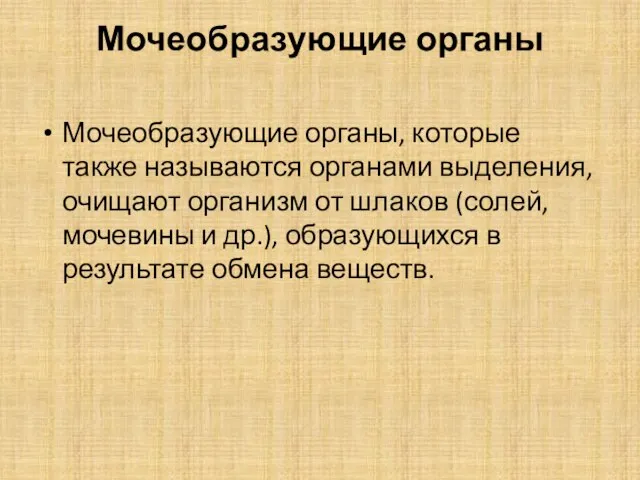 Мочеобразующие органы Мочеобразующие органы, которые также называются органами выделения, очищают организм