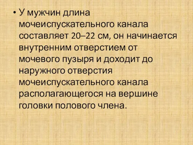 У мужчин длина мочеиспускательного канала составляет 20–22 см, он начинается внутренним