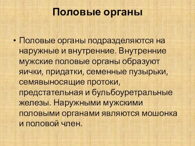 Половые органы Половые органы подразделяются на наружные и внутренние. Внутренние мужские