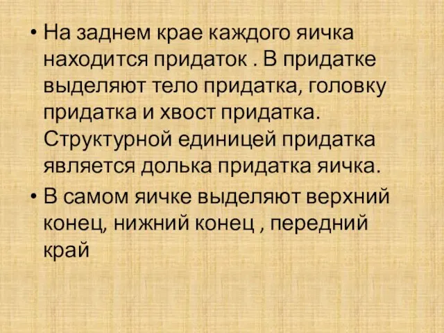 На заднем крае каждого яичка находится придаток . В придатке выделяют