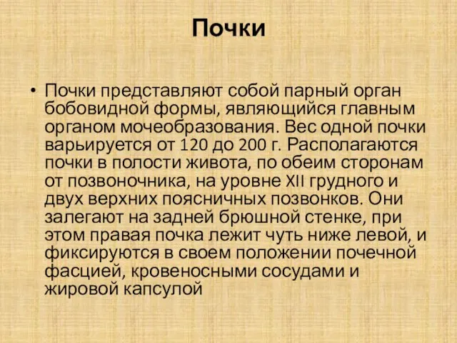 Почки Почки представляют собой парный орган бобовидной формы, являющийся главным органом