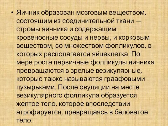 Яичник образован мозговым веществом, состоящим из соединительной ткани — стромы яичника