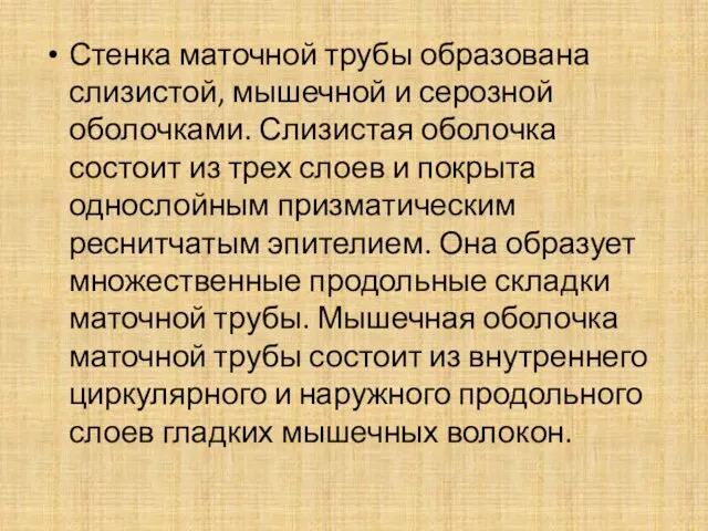 Стенка маточной трубы образована слизистой, мышечной и серозной оболочками. Слизистая оболочка