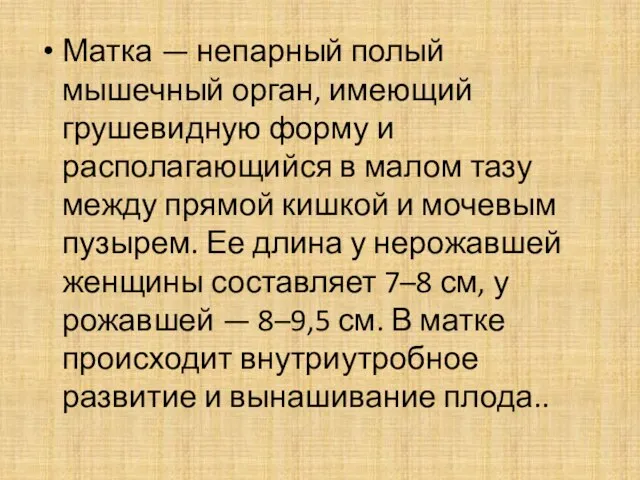 Матка — непарный полый мышечный орган, имеющий грушевидную форму и располагающийся