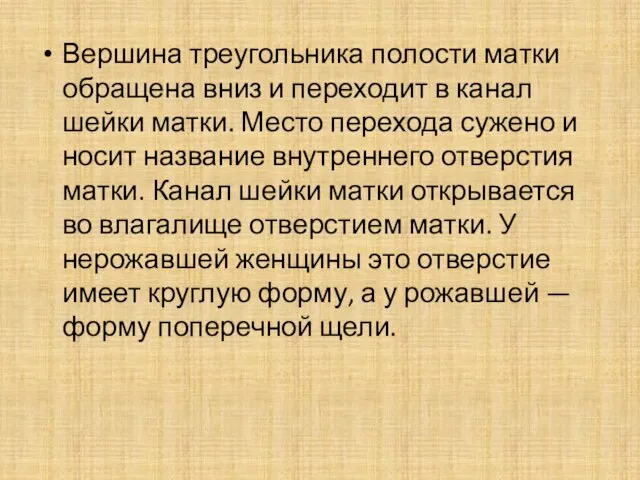 Вершина треугольника полости матки обращена вниз и переходит в канал шейки