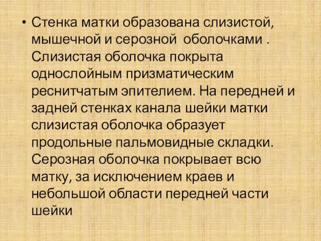 Стенка матки образована слизистой, мышечной и серозной оболочками . Слизистая оболочка