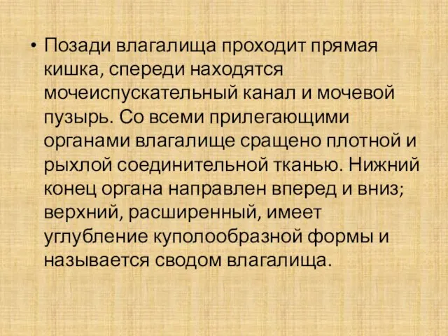 Позади влагалища проходит прямая кишка, спереди находятся мочеиспускательный канал и мочевой