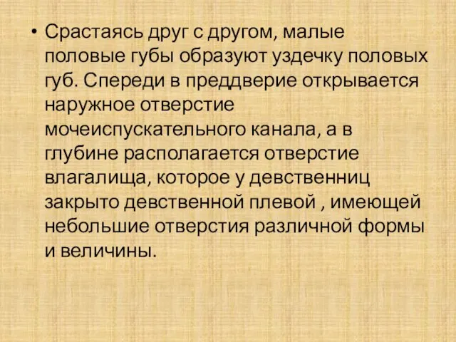 Срастаясь друг с другом, малые половые губы образуют уздечку половых губ.