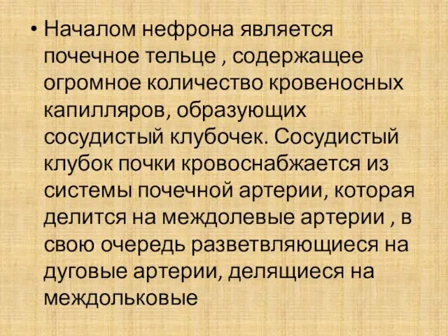 Началом нефрона является почечное тельце , содержащее огромное количество кровеносных капилляров,