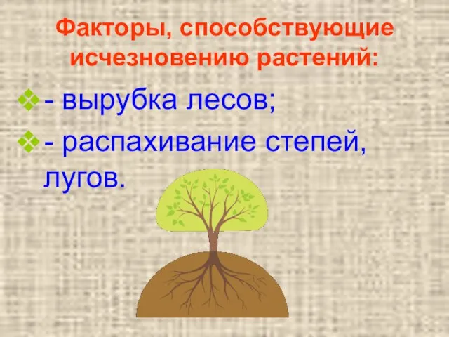 Факторы, способствующие исчезновению растений: - вырубка лесов; - распахивание степей, лугов.