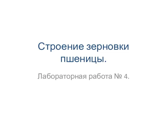 Строение зерновки пшеницы. Лабораторная работа № 4.