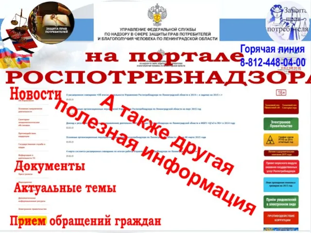 на портале РОСПОТРЕБНАДЗОРА Горячая линия 8-812-448-04-00 Прием обращений граждан Новости Документы