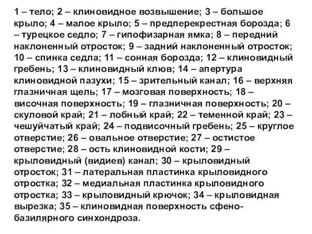 1 – тело; 2 – клиновидное возвышение; 3 – большое крыло;